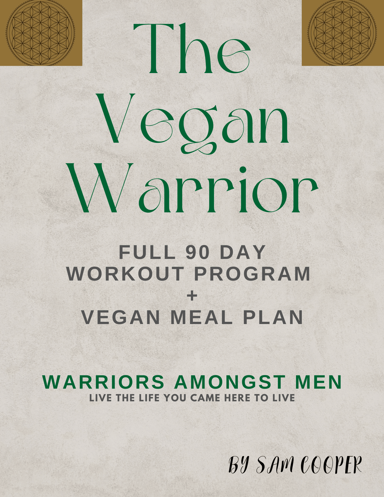 The Vegan Warrior E-book
